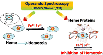 Graphical abstract: Operando spectroscopy investigations of the redox reactions in heme and heme-proteins