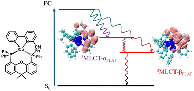 Graphical abstract: Effect of the back skeleton ligand on the ultrafast excited-state dynamics of Cu(i) cyano substituted bipyridine complexes