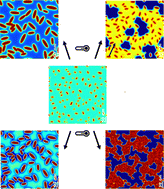 Graphical abstract: Phase field simulations of thermal annealing for all-small molecule organic solar cells