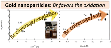 Graphical abstract: Modulating the surface chemistry of gold nanoparticles produced via laser ablation in liquids by favored oxidative processes in the presence of Br anions