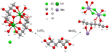 Graphical abstract: Further exploration of the physicochemical nature of μ2-bridge-relevant deprotonations via the elucidation of four kinds of alditol complexes