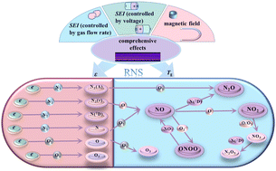Graphical abstract: Characteristics of chemical products under the NOx mode of dielectric barrier discharge: comprehensive effects of specific energy input and magnetic field