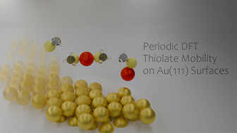 Graphical abstract: Mobility of thiolates on Au(111) surfaces
