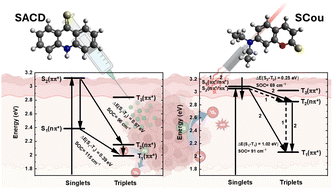 Graphical abstract: Electronic relaxation pathways in thio-acridone and thio-coumarin: two heavy-atom-free photosensitizers absorbing visible light