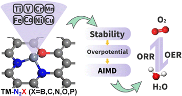 Graphical abstract: A theoretical investigation on the OER and ORR activity of graphene-based TM–N3 and TM–N2X (X = B, C, O, P) single atom catalysts by density functional theory calculations