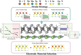 Graphical abstract: 2D metallic transition metal dichalcogenides: promising contact metals for 2D GaN-based (opto)electronic devices
