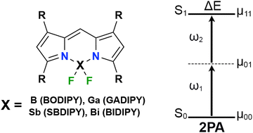 Graphical abstract: Two-photon absorption of BODIPY, BIDIPY, GADIPY, and SBDIPY