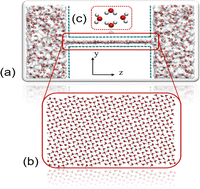 Graphical abstract: Length-dependent water permeation through a graphene channel