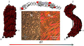 Graphical abstract: Twist-bend liquid crystal phases and molecular structure: the role of methoxybiphenyl