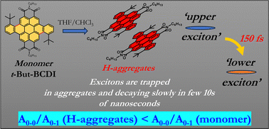 Graphical abstract: Unveiling emissive H-aggregates of benzocoronenediimide, their photophysics and ultrafast exciton dynamics