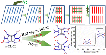 Graphical abstract: Mechanism investigation on the solid–solid phase transition of CL-20 induced by water vapor