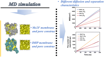 Graphical abstract: A molecular dynamics simulation study on hydrocarbon ladder polymer membranes for gas separation