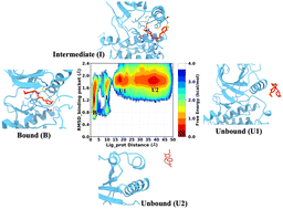 Graphical abstract: Identification and characterization of binding thermodynamics and kinetics of inhibitors targeting FGFR1 via molecular modelling and ligand Gaussian accelerated molecular dynamics simulations