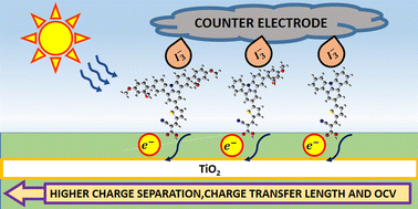 Graphical abstract: A study on indolo[3,2,1-jk]carbazole donor-based dye-sensitized solar cells and effects from addition of auxiliary donors