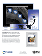 Graphical abstract: Inside back cover