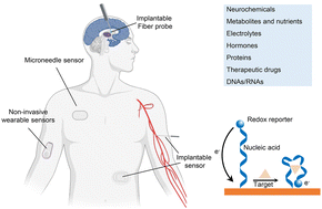 Graphical abstract: Nucleic acid-based wearable and implantable electrochemical sensors