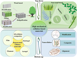 Graphical abstract: “Bottom-up” and “top-down” strategies toward strong cellulose-based materials