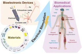 Graphical abstract: Bioelectronics for electrical stimulation: materials, devices and biomedical applications