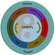 Graphical abstract: Advances in small-molecule fluorescent probes for the study of apoptosis