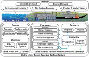 Graphical abstract: Reactive carbon capture using saline water: evaluation of prospective sources, processes, and products