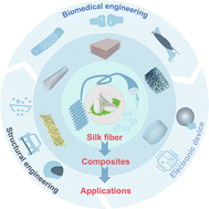 Graphical abstract: Hierarchical design of silkworm silk for functional composites