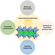 Graphical abstract: Supramolecular engineering in hybrid perovskite optoelectronics