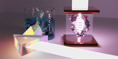 Graphical abstract: When do molecular polaritons behave like optical filters?
