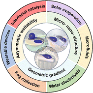 Graphical abstract: Interfacial fluid manipulation with bioinspired strategies: special wettability and asymmetric structures