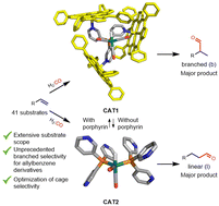Graphical abstract: Substrate scope driven optimization of an encapsulated hydroformylation catalyst