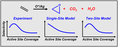 Graphical abstract: Non-steady state validation of kinetic models for ethylene epoxidation over silver catalysts