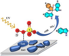 Graphical abstract: Photoactivation of peroxymonosulfate (PMS) over a CuO–ZnO p–n heterojunction for the selective C2 trimerization of indoles