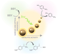 Graphical abstract: Size-dependent plasmonic activity of AuNPs for the rational design of catalysts for organic reactions