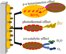 Graphical abstract: A MnFe2O4/BiVO4 film photoanode with heterojunction, co-catalytic and photothermal effects for effective solar water oxidation