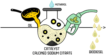 Graphical abstract: Exploiting the potential of calcined sodium citrate as a novel and efficient heterogeneous catalyst for biodiesel synthesis