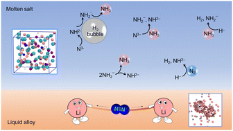 Graphical abstract: Molten multi-phase catalytic system comprising Li–Zn alloy and LiCl–KCl salt for nitrogen fixation and ammonia synthesis at ambient pressure