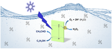 Graphical abstract: Photocatalytic H2O2 production over photocatalysts prepared by phosphine-protected Au101 nanoparticles on WO3