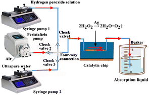 Graphical abstract: Reaction rate and thermal effects of hydrogen peroxide decomposition in microfluidic chips containing channel-type silver catalysts