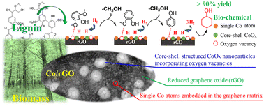 Graphical abstract: Core–shell structured cobalt oxide nanoparticles and single Co atoms supported on graphene for selective hydrodeoxygenation of syringol to cyclohexanol
