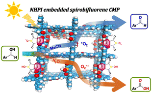 Graphical abstract: Spirobifluorene-based conjugated microporous polymer embedded with N-hydroxyphthalimide as a synergistic photocatalyst for selective solvent-dependent aerobic oxidations