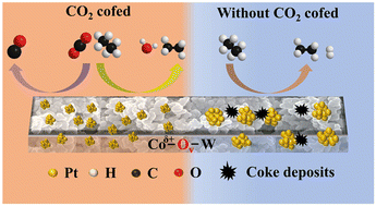 Graphical abstract: A stable Pt modified cobalt tungstate catalyst for CO2-assisted oxidative dehydrogenation of ethane