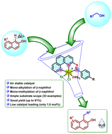 Graphical abstract: Ruthenium catalyzed dehydrogenative α-C–H functionalization of β-naphthol using alcohols: a metal–ligand cooperative borrowing hydrogen approach
