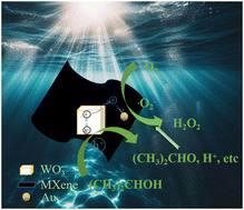 Graphical abstract: Synergistic enhancement of hydrogen peroxide generation: WO3 photocatalyst modified with MXene and Au nanoparticles under visible light
