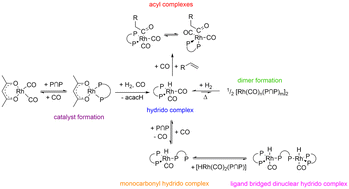 Graphical abstract: In situ spectroscopic investigations on BiPhePhos modified rhodium complexes in alkene hydroformylation