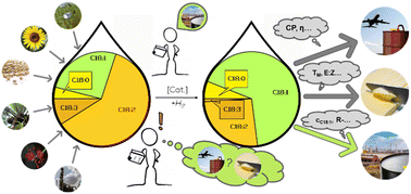 Graphical abstract: Catalytic processes for the selective hydrogenation of fats and oils: reevaluating a mature technology for feedstock diversification