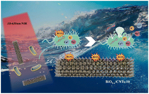 Graphical abstract: Fabrication of oxygen vacancy-rich BiO2−x/multi-walled carbon nanotubes with enhanced photothermal catalytic antibacterial performance
