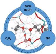 Graphical abstract: Mechanistic origins for the enhanced ethanol dehydration kinetics in H-ZSM-5 by cofeeding n-butanol