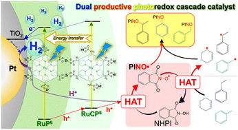 Graphical abstract: Dual-productive photoredox cascade catalyst for solar hydrogen production and methylarene oxidation