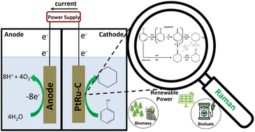 Graphical abstract: Effect of Pt and Ru-based catalysts on the electrochemical hydrodeoxygenation of phenol to cyclohexane