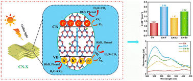 Graphical abstract: Halogen anions (F−, Cl−, Br−) modulated the localized microstructure of g-C3N4 to facilitate charge separation and transport and enhance photocatalytic activities