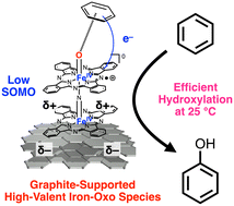 Graphical abstract: Efficient catalytic direct C–H hydroxylation of benzene by graphite-supported μ-nitrido-bridged iron phthalocyanine dimer